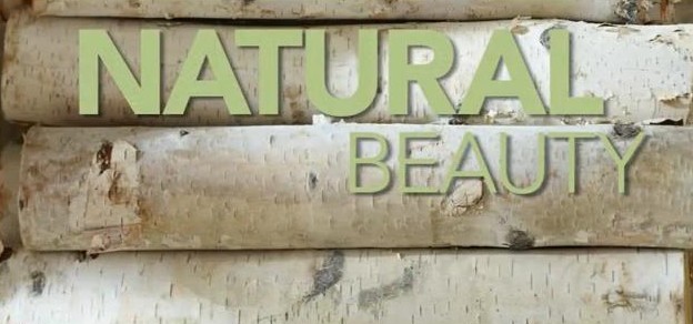 Natural Interior Design